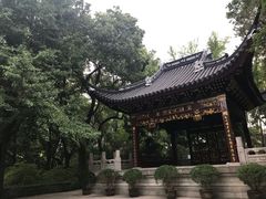 -汇龙潭