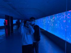 -多彩贵州城极地海洋世界