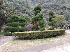 -宁波五龙潭景区