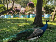 -三亚蜈支洲岛旅游区