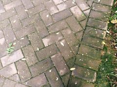 -唐城墙遗址公园