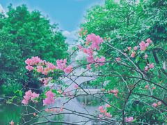 -岭南和园