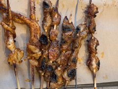 -李军力烧烤(电厂路农业路店)