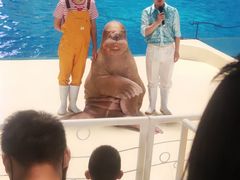 -泉城欧乐堡海洋极地世界