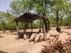 -西安秦岭野生动物园