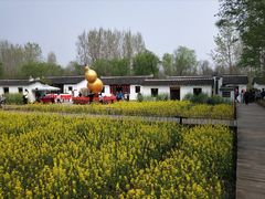 -溱湖国家湿地公园