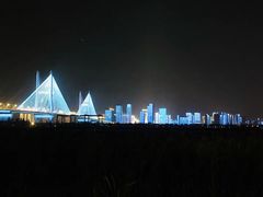 -武汉两江游览·夜游长江(汉口粤汉码头)