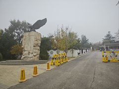 -北京鹫峰国家森林公园