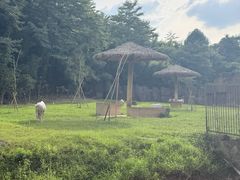 -杭州野生动物世界