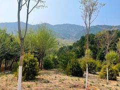 -北京西山国家森林公园