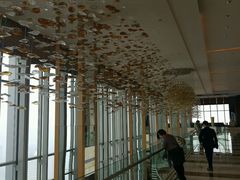 -视界美食自助餐厅·石家庄希尔顿酒店