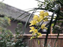 -成都杜甫草堂博物馆