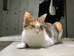 -上海第一八佰伴