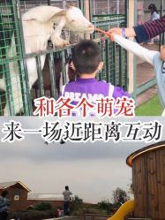 -小蜜蜂农场(凯德七宝购物广场店)