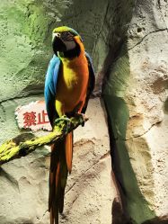 -Zoolung Zoolung动物主题公园(海信广场店)