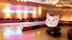 -速度小子卡丁车(基盛万科里店)