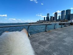 -东港音乐喷泉广场