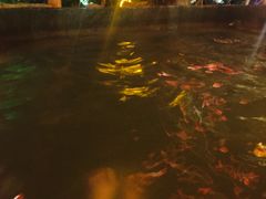 -西安国际创新人才交流中心•药浴温泉