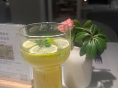 柠檬青柚-春树下·树屋花房西餐厅(罍街AS1980店)