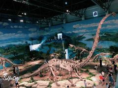 -自贡恐龙博物馆