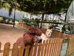-呀路古热带植物园