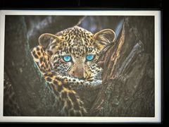 -罗红摄影艺术馆