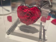 -L'Arome芳芳法国餐厅(仙林金鹰店)