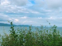 -杨梅坑