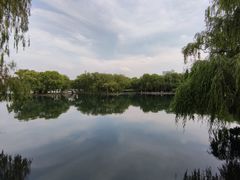-百脉泉景区