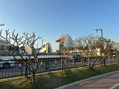 -野狸岛