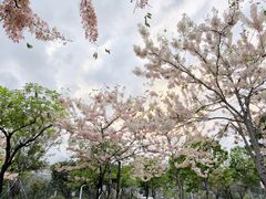 -白石龙音乐公园