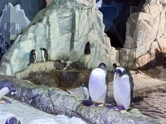 -成都浩海立方海洋公园