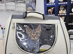 -爱侣宠医·鹦鹉专科·小型哺乳类·异宠专科(灵石路店)