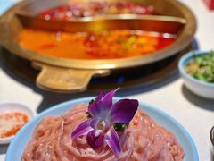 鸭血-矮冬瓜红茶火锅