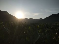 -巧燕坊一笼一蒸(庆春广场地铁站店)