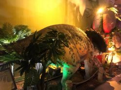 -恐龙探索乐园(磁器口店)