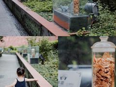 -广州神农草堂中医药博物馆