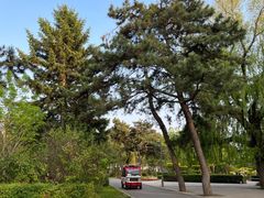 -长春市南湖公园