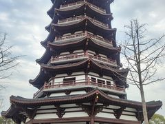 -洋湖国家湿地公园