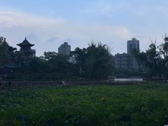 -迎泽公园