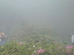 -梧桐山风景名胜区