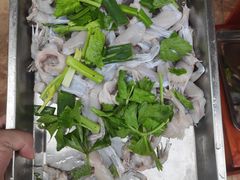 -大江美蛙鱼火锅(都江堰店)