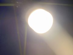 -沙胆彪炭炉牛杂煲(成都玉林店)