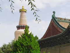 -张掖大佛寺景区