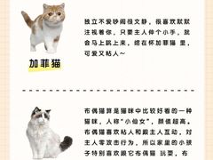 -爱侣宠医·鹦鹉专科·小型哺乳类·异宠专科(灵石路店)