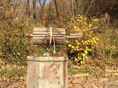 -天女山森林公园