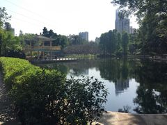 -晓港公园