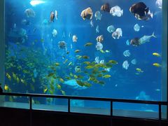 -太平洋海底世界