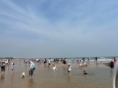 -日照海滨国家森林公园
