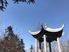 -冶父山国家森林公园